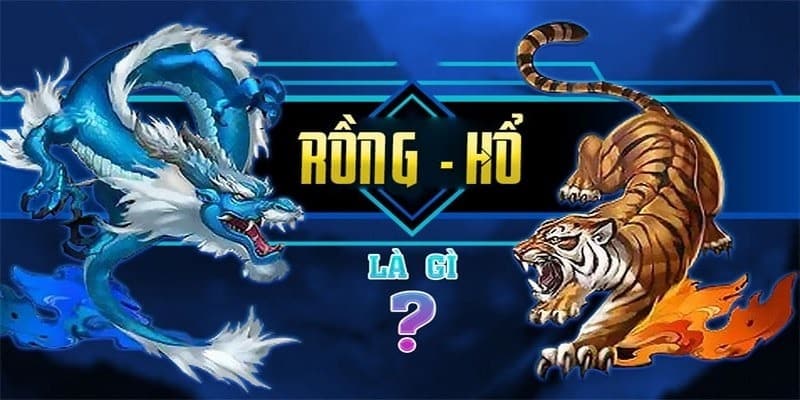 Giới thiệu về tựa game Rồng hổ K8bet